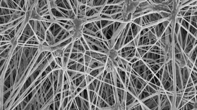 PFAS and Waterproof Membranes: Risks, Alternatives, and the Future of Outdoor Gear